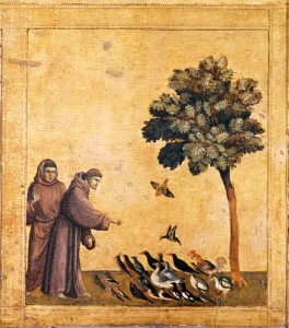 Saint François d'Assise - Giotto